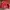 Avirex Vintage Leather Jacket Pria Red