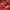 Avirex Vintage Leather jacket Pria red photo 5