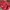 Avirex Vintage Leather jacket Pria red photo 4