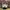 MCM Luxury Handbag Wanita white photo 1