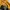 Fotom stretwear casual polo long sleeve yellow striped photo 5
