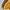 Fotom stretwear casual polo long sleeve yellow striped photo 4