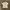 Spade Club Big Logo White 
