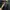 Dickies Gorpcore Puffer jacket Pria black photo 7