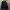 Dickies Gorpcore Puffer jacket Pria black photo 4