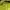 Longchamp Le Pliage One SLH Small Tote Lime photo 5