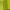 Longchamp Le Pliage One SLH Small Tote Lime photo 8