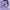  Champion Reverse Weave Tonal Script photo 3