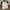 Polo shirt Adidas photo 4