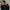 The North Face Gorpcore Casual Windbreaker Pria black yellow photo 2