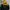 The North Face Gorpcore Casual Windbreaker Pria black yellow photo 5