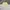 Unknown baggy Jorts khaki Canvas photo 8