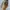 Outdoor hat aigle running tracking  photo 4