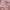 Coquette Casual Culotte Wanita pink photo 3