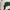 Casual Sweatshirt Wanita white green photo 2
