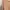 Bershka Minimalist Casual Sweatshirt Wanita tan photo 3