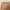 Bershka Minimalist Casual Sweatshirt Wanita tan photo 2