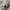 TruckerHat Cabelas Usa Vintage Basspro Patagonia VonDutch photo 3