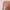 Lolita Coquette Cardigan Pria pink photo 2