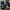 New Balance Streetwear Sneakers Pria Multicolor