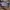 New Balance Streetwear Sneakers Pria multicolor photo 3