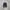Skechers D'lites 2.0 Running Shoes Black/White 66666324-BKMT photo 2