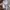 Anna Sui Vintage Y2K Shirt Wanita white photo 4
