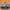 MOSSY OAK Camo Pants photo 4