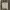 ZARA Y2K Casual Vest Wanita white photo 2