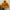 Burberry goose down kids photo 3
