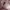 Coach Vintage Y2K Hobo bag Wanita pink cream photo 6