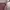 Coach Vintage Y2K Hobo bag Wanita pink cream photo 7