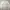Y2K Coquette Cardigan Wanita white photo 1