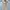 Y2K Coquette Cardigan Wanita white photo 2