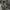 Bomber jacket MA1 Army photo 5