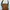 Lee Cooper Vintage Streetwear Parka Pria green brown photo 2