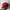 Topi New Era NYC Red A Frame photo 3