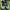 Adidas FSO Size 30.5