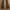 Tornado Mart Streetwear Minimalist Skinny jeans Wanita multicolor photo 3