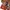 Japanese brand Vintage Y2K T-shirt Pria multicolor photo 3