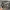 New Balance Streetwear Sportswear Sneakers Pria gray photo 5