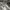 New Balance Streetwear Sportswear Sneakers Pria gray photo 4