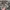 New Balance Streetwear Sportswear Sneakers Pria multicolor photo 1