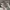 New Balance Streetwear Sportswear Sneakers Pria multicolor photo 3