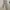 Casual Reworked Casual trouser Wanita cream photo 1