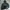Spao Streetwear Hoody Pria multicolor photo 1
