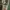 Anting Anting Fancy  Isi Banyak