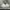 Y2K Short Wanita white photo 1