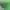 Y2k seattle soundres tage from Mls, Major league soccer photo 6