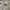 Polo Ralph Lauren Vintage Dungaree Kids tan photo 3